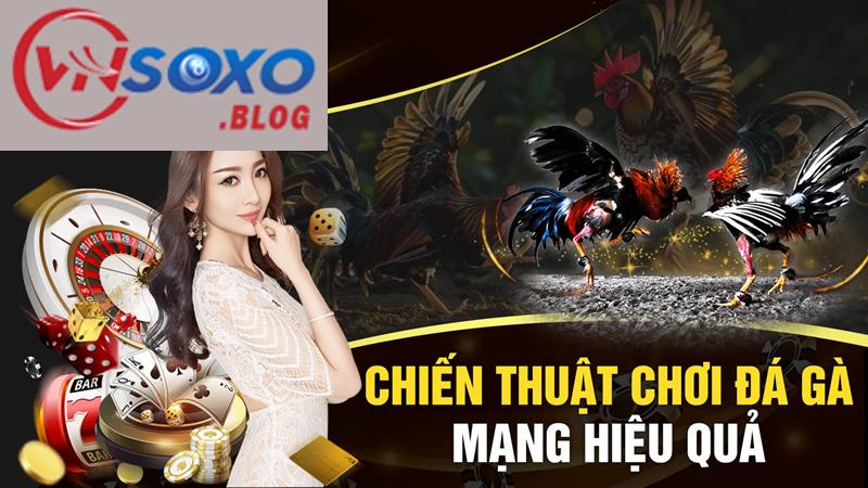 Các chiến thuật cần thiết để cược chọi gà VNSOXO thành công