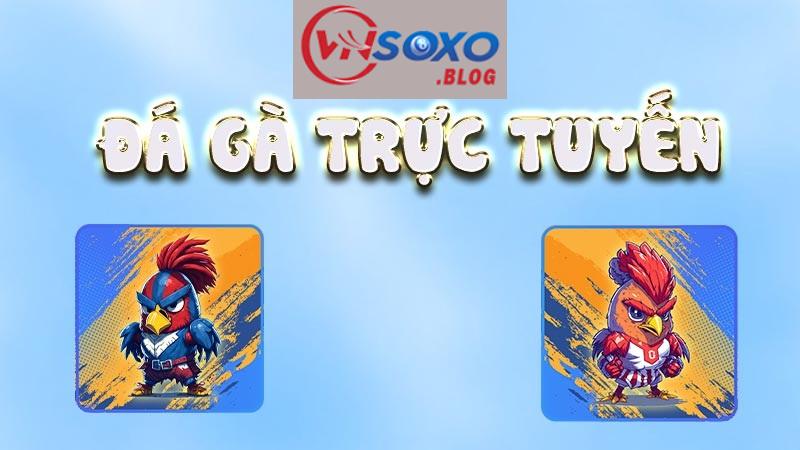 Tổng quan về sân chơi đá gà VNSOXO